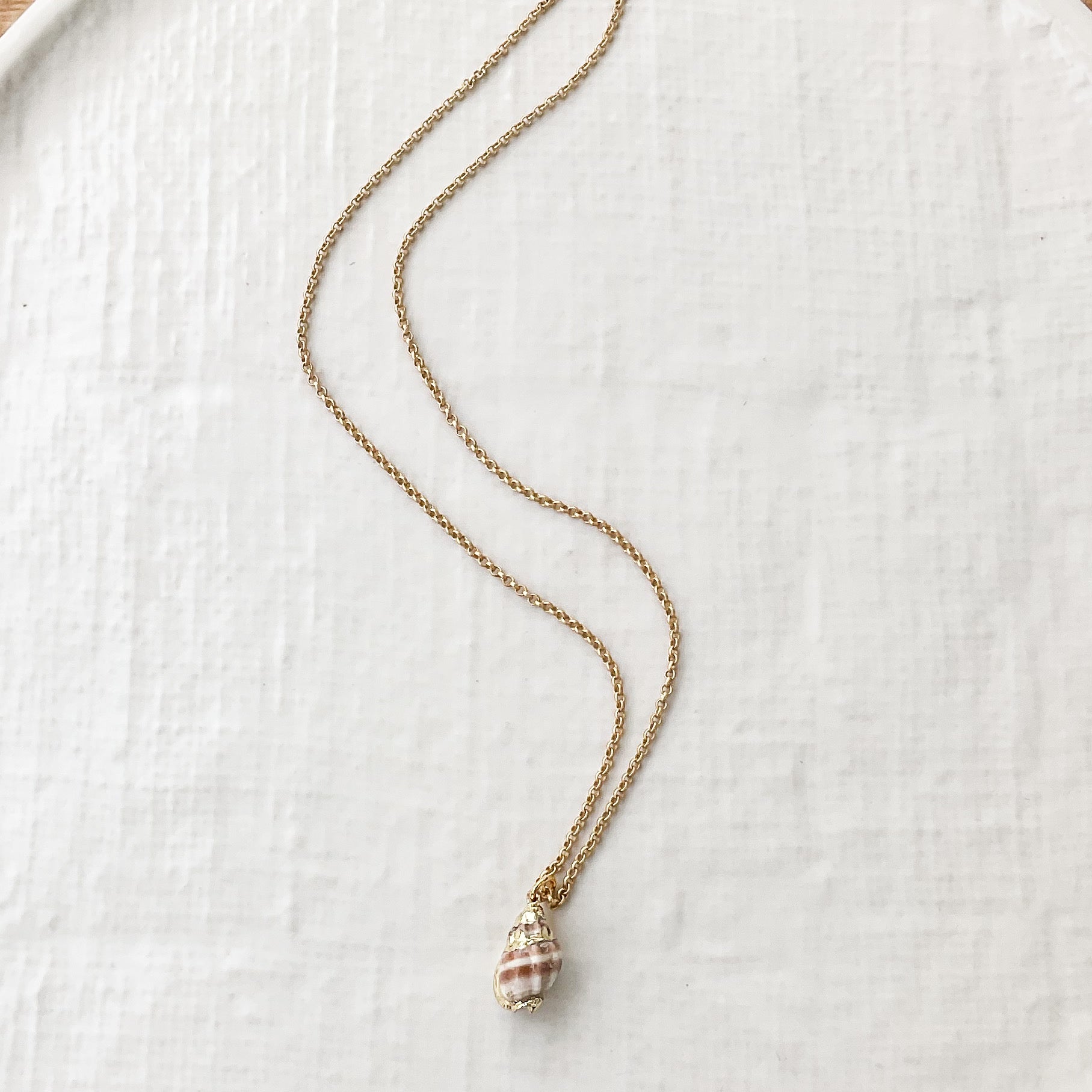 Conch Shell on 16” Small Chain
